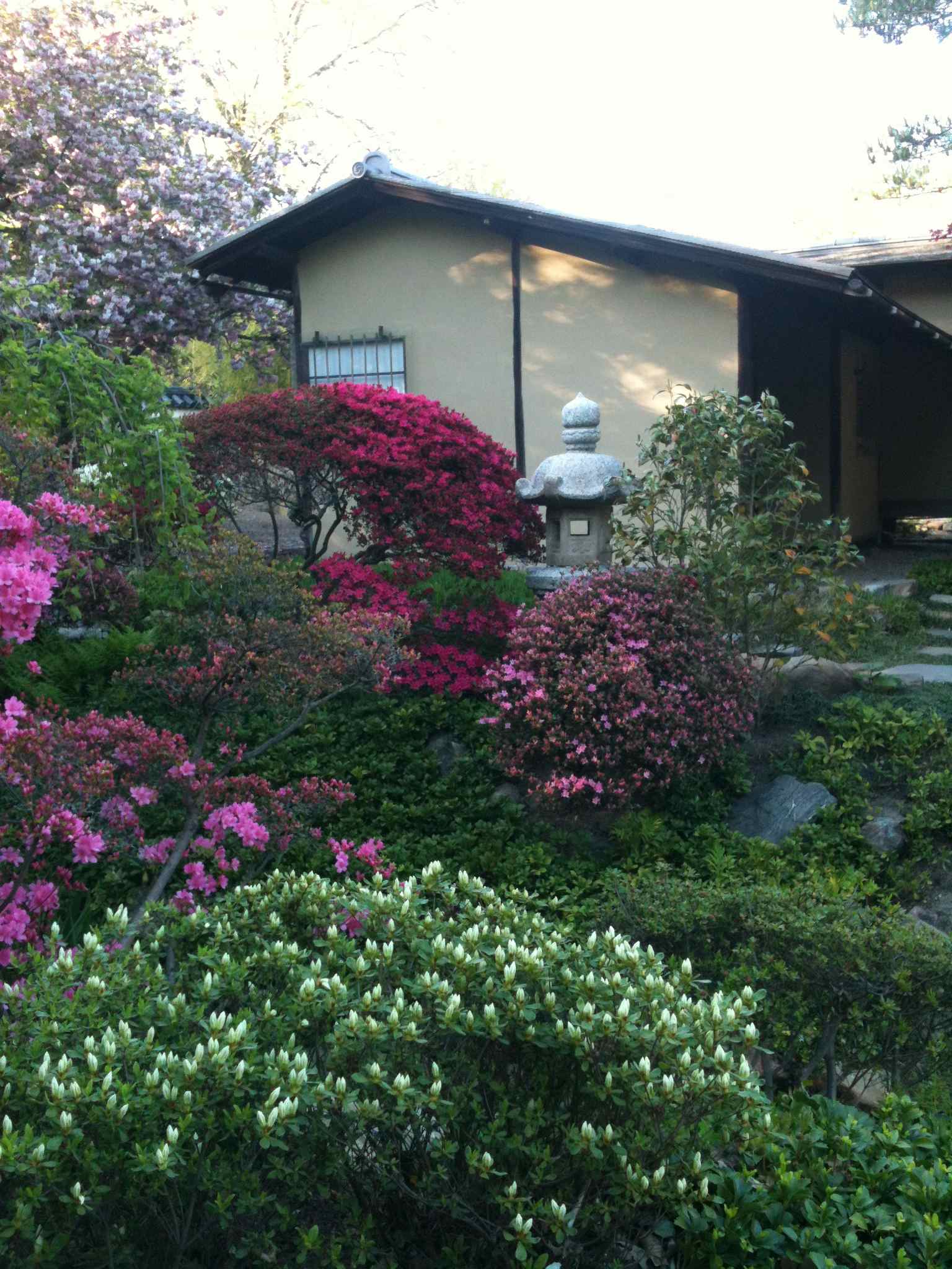 Shofuso_Teahouse_5_13